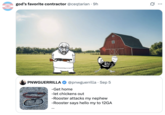 A "quote-tweet":https://knowyourmeme.com/memes/quote-retweets-qrts of the September 2025 "tweet":https://knowyourmeme.com/memes/sites/twitter-x from user @PNWGUERRILLA about him allegedly shooting and killing a rooster with a 12-gauge shotgun because the animal attacked his nephew.
