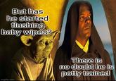 But has he started flushing baby wipes? imgflip.com There is no doubt he is potty trained