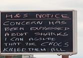 H&S NOTICE CONCERN HAS BEEN EXPRESSED ABOUT SHARKS I CAN ASSURE THAT THE CROCS KILLED THEM ALL