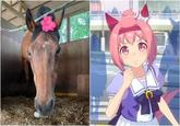 Haru Urara passed away...