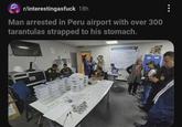 r/interestingasfuck 18h Man arrested in Peru airport with over 300 tarantulas strapped to his stomach. SERFOR SERFOR GADA DE OPERACIONES ESPECIALES AEREA