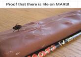 Proof that there is life on MARS!