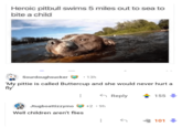 Heroic pitbull swims 5 miles out to sea to bite a child Sourdoughsucker • 13h 'My pittie is called Buttercup and she would never hurt a fly' Jtugboattizzymo Well children aren't flies ← Reply 155 +2⚫9h ← 101