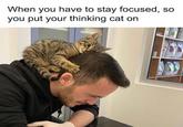 When you have to stay focused, SO you put your thinking cat on