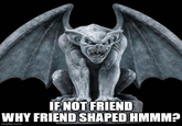 IF NOT FRIEND WHY FRIEND SHAPED HMMM? imgflip.com