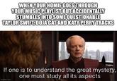 WHEN YOUR HOMIE GOES THROUGH YOUR MUSIC PLAYLIST BUT ACCIDENTALLY STUMBLES INTO SOME QUESTIONABLE TAYLOR SWIFT, DOJA CAT AND KATY PERRY TRACKS If one is to understand the great mystery, one must study all its aspects imgflip.com