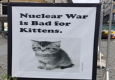 Nuclear War is Bad for Kittens.