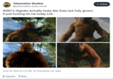 Yokomation Studios @yokomation.bsky.social WWC's Gignato actually looks like Suko but fully grown, It just f------ hit me today LOL June 19, 2025 at 1:13 AM Everybody can reply 2 reposts 7 likes + Follow