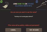 USING NAME TAG ON STRANGE KILLSTREAK SNIPER RIFLE Are you sure you want to use this name? "Counting or not counting gang violence?" + 000000 (This name will be publicly visible and permanent) CANCEL YEP, I'M SURE!
