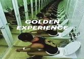 GOLDEN EXPERIENCE
