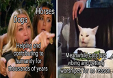 Dogs Horses Helping and contributing to humanity for Meanwhile cats just vibing and getting thousands of years worshiped for no reason