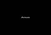 Anus