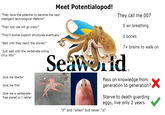 Meet Potentialopod! "They have the potential to become the next intelligent technological lifeform!" "Their tool use will go crazy!" "They'll evolve support structures eventually." "Wait until they reach the shores!" "Just wait until the vertebrate-killing virus hits!" Give me liberty! Give me fire! Give me a vertebrate- free planet or I retire! They call me 007 0 air breathing O bones 7+ brains to walk on Seaworld (R) Pass on knowledge from generation to generation? Starve to death guarding eggs, live only 2 years "if" and "when" but never "is" ✓
