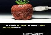 SOKUN THE ENTIRE INTERNET IS STORED AND DELIVERED USING ONE STRAWBERRY.