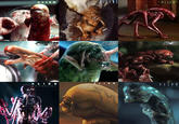 ALIEN ALENS ALIEN 3 ALIEN SUBROGIOON ALIEN • VEN AND VP ALIEN VS. PREDATOR ALIENS VS PREDATOR REQUIEM FX ALIEN ROMULUS ALIEN EARTH