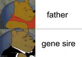 imgflip.com father gene sire