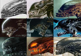ALIEN ALIENS ALIEN 3 ALIEN RESURRECTION NP ALIEN VS. PREDATOR ALIENS VS PREDATOR REQU ALIEN C O V E N A N T ALIEN ROMULUS FX ALIEN E ART H