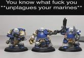 You know what f--- you **unplagues your marines**
