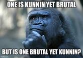 ONE IS KUNNIN YET BRUTAL BUT IS ONE BRUTAL YET KUNNIN? imgflip.com