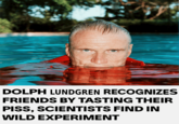 DOLPH LUNDGREN RECOGNIZES FRIENDS BY TASTING THEIR PISS, SCIENTISTS FIND IN WILD EXPERIMENT