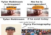 Tyler Robinson is Groyper! liberal No he is transgender! republican Tyler Robinson if he exist today: i am quite fond of Furry P---------- Furry thanks