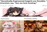 “Genetically Engineered Catgirls are Possible, Scientists say, "but we lack funding." 2 Feb 2018 //animemes NYAGA Expectation Probably reality @SCUUDERCO Share