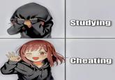 Studying Cheating