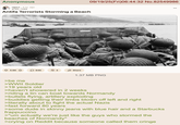 Anonymous r/pics 5 hr. ago g785_7489 Antifa Terrorists Storming a Beach 5.6K ☐ 646 3 Share 09/19/25(Fri)06:44:32 No.82549986 1.37 MB PNG >be me >WWII Soldier >19 years old >haven't showered in 2 weeks >riding a tin can boat towards Normandy >bullets flying, artillery exploding >buddies getting their limbs blown off left and right >literally about to fight the actual Nazis >fast forward 80 years >some dude in skinny jeans with blue hair and a Starbucks frappuccino >"um actually we're just like the guys who stormed the beaches of Normandy" >crying on Reddit because someone called them cringe ...