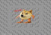 dogemuchwow.com WOW
