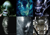 ALIEN ALIENS NVP ALIEN VS. PREDATOR ALIEN ALIEN EARTH ALIEN ROMULUS
