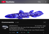 ► YouTube Comments 1.6K Х @KillerOrca 9 months ago I showed this to my Fish Morphology and Evolution teacher. He played it on a loop over our final exam. 5.3K 44