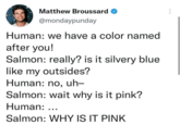 Matthew Broussard @mondaypunday Human: we have a color named after you! Salmon: really? is it silvery blue like my outsides? Human: no, uh- Salmon: wait why is it pink? Human: ... Salmon: WHY IS IT PINK