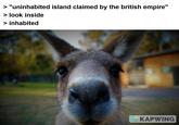 > "uninhabited island claimed by the british empire" > look inside > inhabited KAPWING
