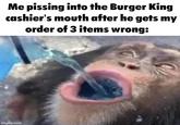Me pissing into the Burger King cashier's mouth after he gets my order of 3 items wrong: imgflip.com