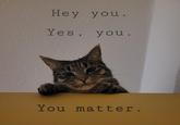 Hey you. Yes, you. You matter.