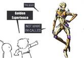hey guys Golden Experience NOT WHAT I'M CALLED