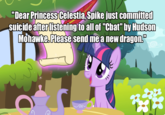 "Dear Princess Celestia, Spike just committed suicide after listening to all of "Chat" by Hudson Mohawke. Please send me a new dragon."