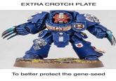 EXTRA CROTCH PLATE To better protect the gene-seed