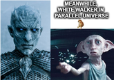 MEANWHILE, WHITE WALKER IN PARALLEL UNIVERSE