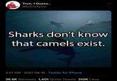 True, I Guess... @tchncllytru Sharks don't know that camels exist. 5:51 AM 2021-08-16 Twitter for iPhone 26.6K Retweets 1,401 Quote Tweets 310K Likes