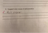 5. Suggest one cause of deforestation this paper
