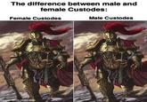 The difference between male and female Custodes: Female Custodes MW made with mematic Male Custodes