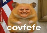 covfefe