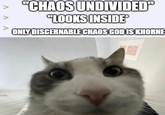 V V V "CHAOS UNDIVIDED" "LOOKS INSIDE ONLY DISCERNABLE CHAOS GOD IS KHORNE