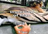 Imperium of Man Spheres of Expansion T'au