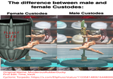 The difference between male and female Custodes: Female Custodes PLEASE Die D Male Custodes Original Meme: MurderousRubberDucky First Edit: Time_Vault Cyclonic Torpedo: https://x.com/Eliphusz/status/1103581480616448000