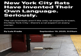 New York City Rats Have Invented Their Own Language. Seriously. The rat scientists aren't the only rat experts in town. It's New York City-there's a rat expert on every corner. By Luis Prada September 19, 2025, 9:09am