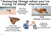 'Annoying things when you're trying to sleep" starterpack the one mosquito that survived the Raid imgflip.com this fukin moth who slipped in somehow & lands on your face dog doing zoomies arguing neighbors in the next apartment