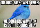 THE BIRD SAYS TWEET TWEET WE DON'T KNOW WHAT X IS BUT IT SOUNDS SILLY