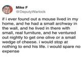 Mike F @DeputyWarlock if i ever found out a mouse lived in my home, and he had a small archway in the wall, and he lived in there with small, real furniture, and he ventured out nightly to get one olive or a small wedge of cheese. i would stop at nothing to end his life. i would spare no expense